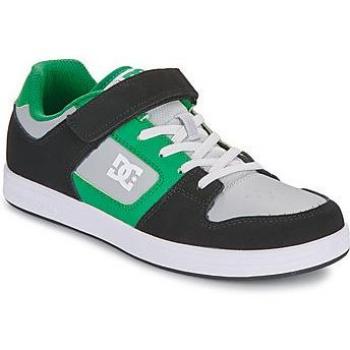 DC Shoes Manteca 4 V