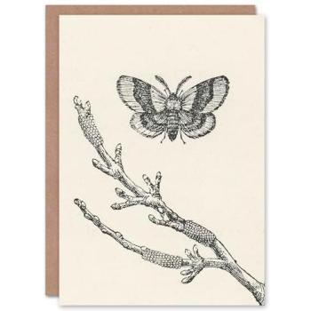 John Wright Artery8 Art Card Fruit Growers Guide Lackey Moth Beige