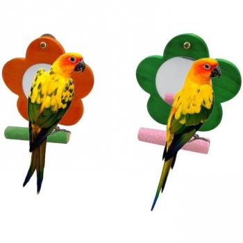 Random Color Bird Mirror Toy with Perch 449E