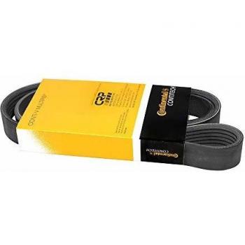 6PK1217 Contitech Marca Cinghia
