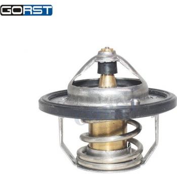 Engine Coolant Thermostat 255002A100
