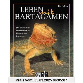 Leben mit Bartagamen