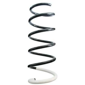 Spidan Schraubenfeder 137 mm Vorne links 87034