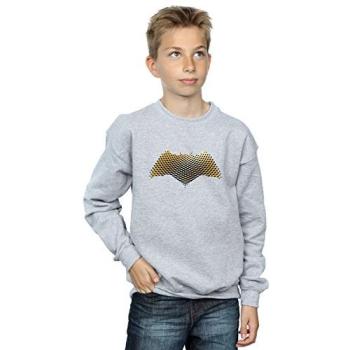 Grey Boy’s Justice League Batman Graphic Sweatshirt (Size 9) – DC Comics