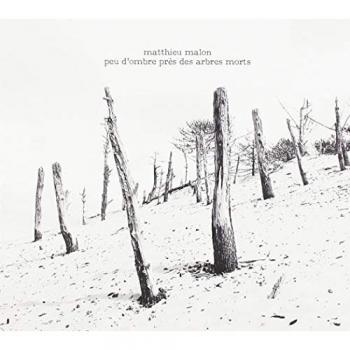 Silence Arboré