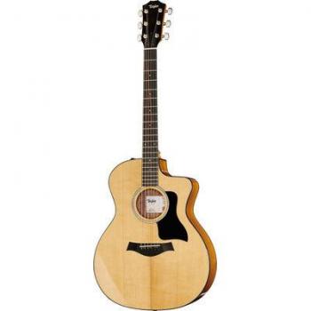 Taylor 214ce Plus Hochglanzmodell