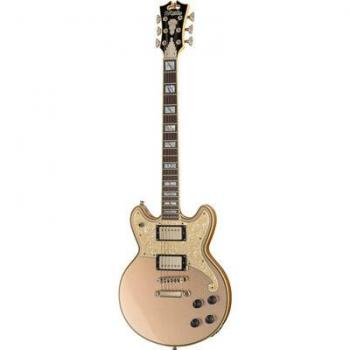 2024 DADBRIDSGNS Desert Gold – D’Angelico Guitars