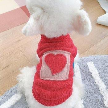 Veste pour bouledogue français