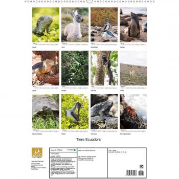 Tiere Ecuadors