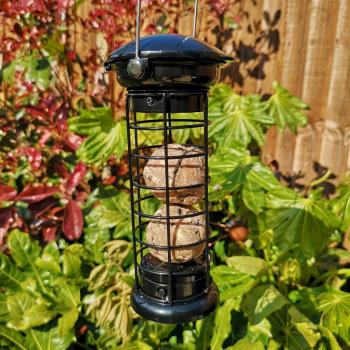 Tom Chambers Heavy Duty Black Metal Fat Ball Feeder for Wild Birds