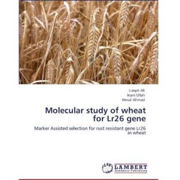 Molecular study of wheat for Lr26 gene