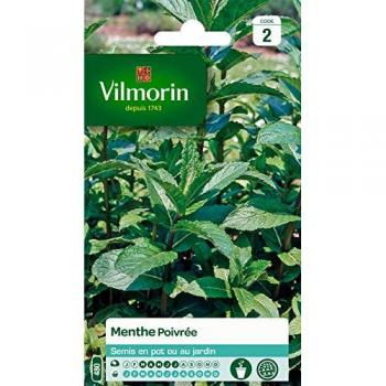 Peppermint Élégance Vilmorin