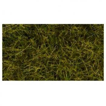 NOCH 07110 Meadow Grass 12mm