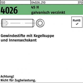 Nobrand Kegelkuppe Gewindestift M8x1,25