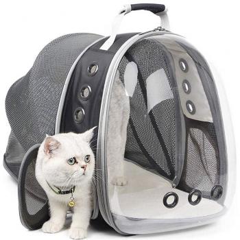 Outdoor Cat Transporter