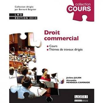 Droit commercial cours thèmes de travaux dirigés