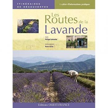 Les routes de la lavande