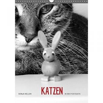 Sonja Heller Katzen in SW-Portraits