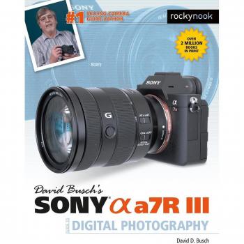 Vitalsource Technologies, Inc. David Busch's Sony Alpha A7r Iii Guide To Digital Photography