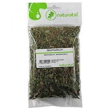 DESMODIUM (Desmodium ascendens) 40GR