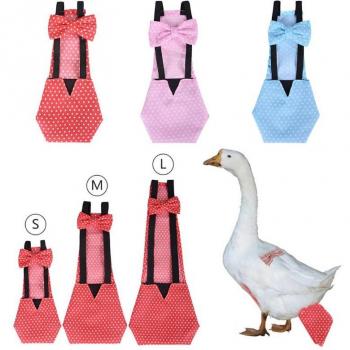 Bowknot Pet Diaper