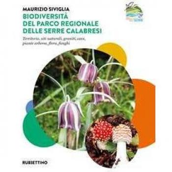Biodiversità nel Parco Regionale delle Serre Calabresi. Territorio, siti naturali, graniti, cave, piante arboree, flora, funghi