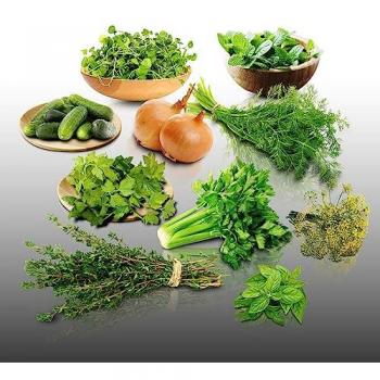 Mélange Aromatique 2800 Graines – Le Grenier d'Abondance – Pack 10 Sachets
