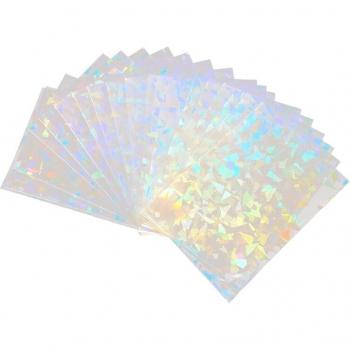 Fundas Fotográficas Vidriosas 100P
