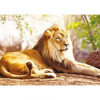 Puzzle Animaux de la Savane : Lion Royal