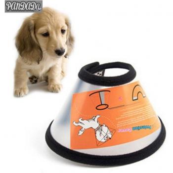 Wound Healing Dog Cone