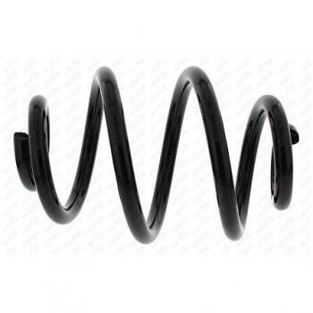 MAPCO 72629 Stoßdämpfer‑Federset – rechts/links hinten