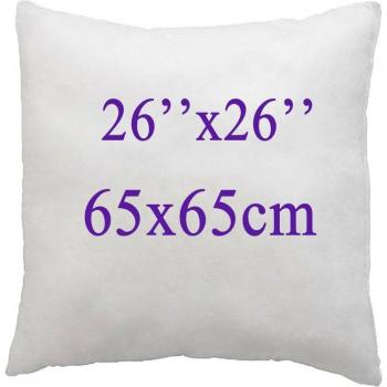 Soft Cotton-Padded Cushion Insert for Sofa and Car (16/18/20/22/24 Inch)