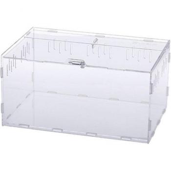 Boîte terrarium acrylique « Escalade Verte » – habitat pour serpents, araignées et reptiles