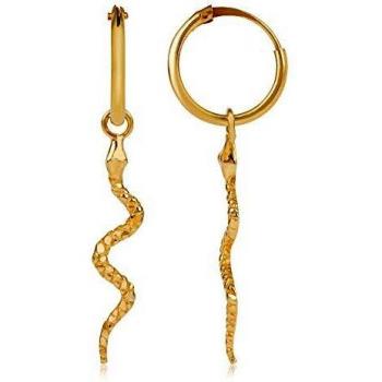 Pendientes Aritos de Serpiente