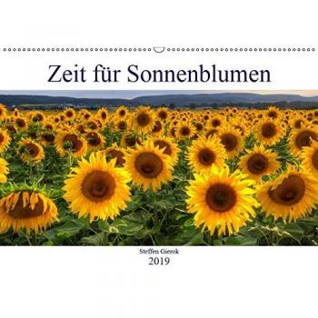Zeit für Sonnenblumen