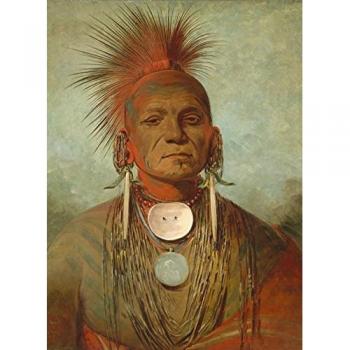 George Catlin Bildpuzzle 300 Stück – See‑non‑ty‑a, Iowa Medicaler Mann 1844/45
