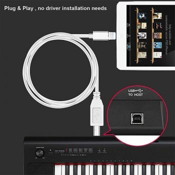 Convertidor de Teclado Midi USB 2.0 a Lightning