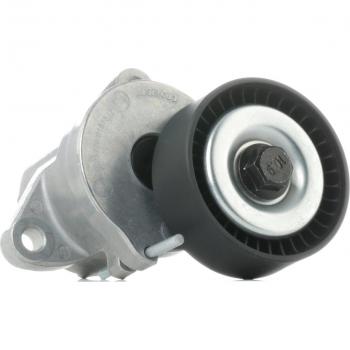 RIDEX 310T0107