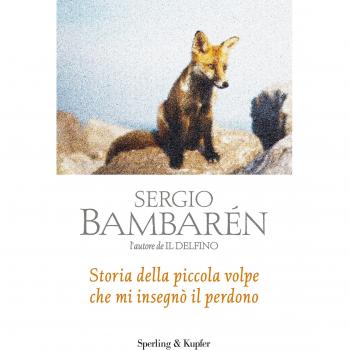 Storia della piccola volpe che mi insegnò il perdono