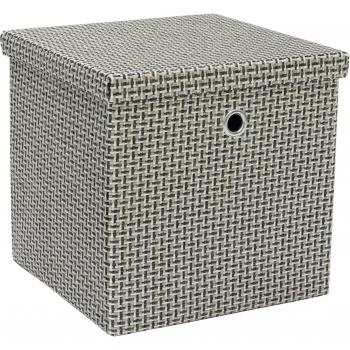 Silva Grey Foldable Fabric Storage Box with Lid