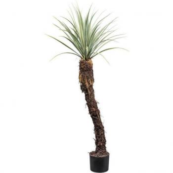 Creativ Green Kunstpflanze „Yucca Rostrata“ – grün–grau, außergewöhnlicher Stamm