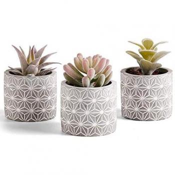 Artificial Oasis Collection