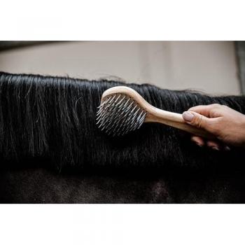 Brosse à crins de luxe Kentucky