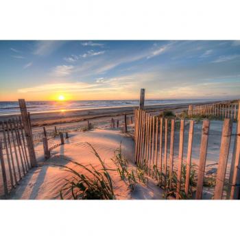 Papermoon Dekorative Wandtapete Outer Banks Dunes