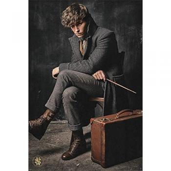 Póster de Newt Scamander