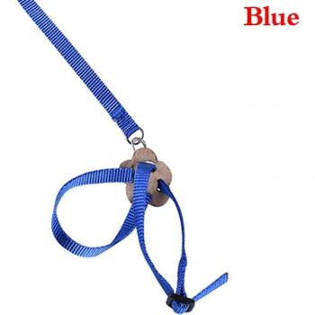 Outdoor Bird Training Leash