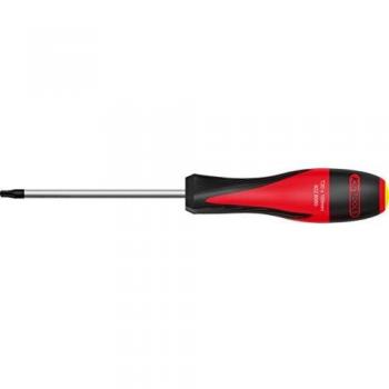 Cacciavite T20 100 mm Ergonomico KS Tools
