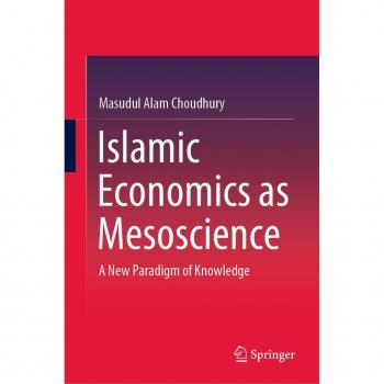 Islamic Economics as Mesoscience