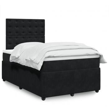 Prolenta Prestige