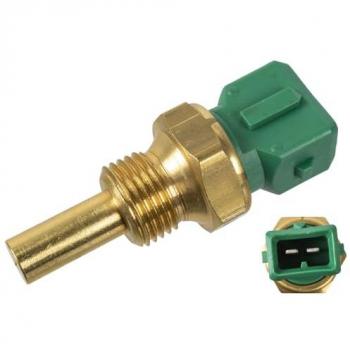 Swag Cooling Temp Sensor 62918987